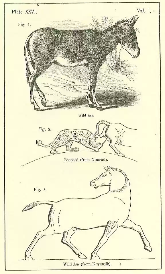 plate026